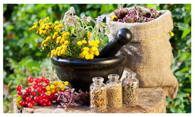 Евелин Билки