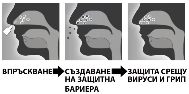 Действие на Назалезе.