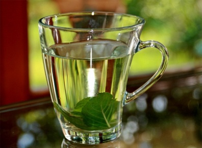 Розмарин и мента подпомагат паметта