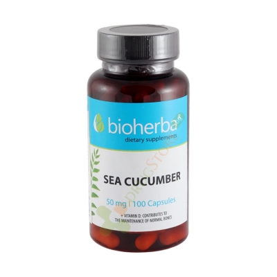 БИОХЕРБА МОРСКА КРАСТАВИЦА + ВИТАМИН D капсули 100 броя / BIOHERBA SEA CUCUMBER + VITAMIN D