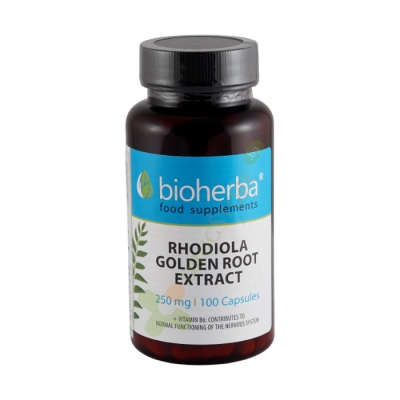 БИОХЕРБА ЗЛАТЕН КОРЕН (РОДИОЛА) + ВИТАМИН B6 капсули 100 броя / BIOHERBA RHODIOLA ROSEA ROOT + VITAMIN B6