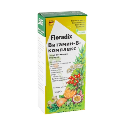 ФЛОРАДИКС ВИТАМИН B КОМПЛЕКС сироп 250 мл / FLORADIX VITAMIN B COMPLEX