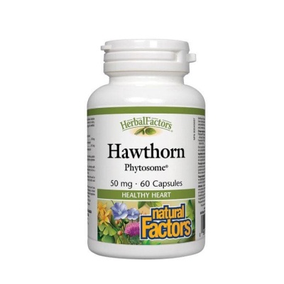 НАТУРАЛ ФАКТОРС ГЛОГ ФИТОЗОМИ капсули 50 мг. 60 броя / NATURAL FACTORS HAWTHORN PHYTOSOME