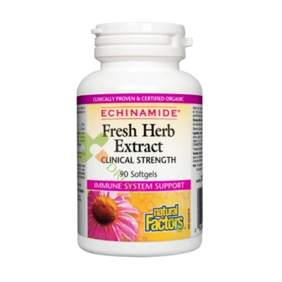 НАТУРАЛ ФАКТОРС ЕХИНАМИД ЕХИНАЦЕЯ ЕКСТРАТ капсули 250 мг 90 броя / NATURAL FACTORS ECHINAMID ECHINACEA EXTRACT