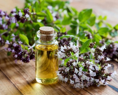 Лечебните свойства на ригана