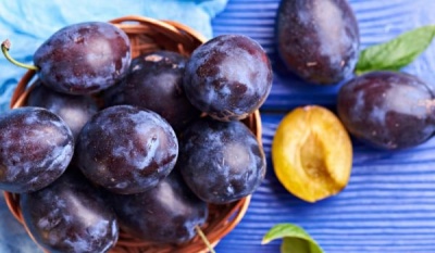 Яжте сини сливи, за да намалите риска от остеопороза в по-късна възраст