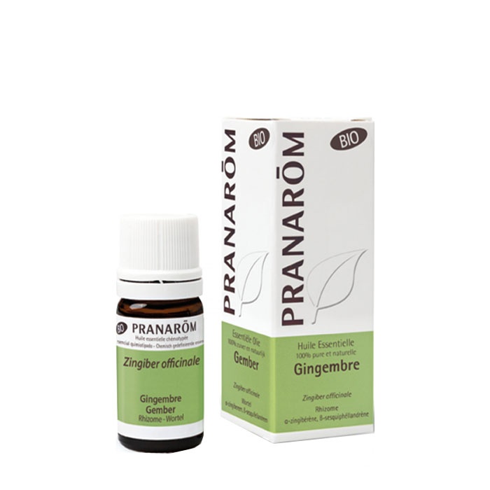 ПРАНАРОМ ЕТЕРИЧНО МАСЛО ОТ ДЖИНДЖИФИЛ 5 мл. / PRANAROM GINGER ESSENTIAL OIL