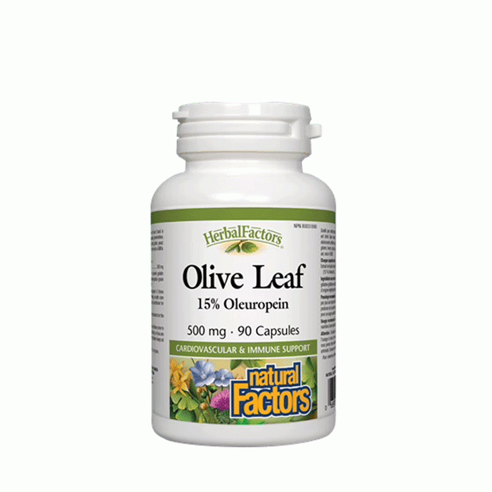 НАТУРАЛ ФАКТОРС МАСЛИНА ЛИСТ капсули 500 мг 90 броя / NATURAL FACTORS OLIVE LEAF