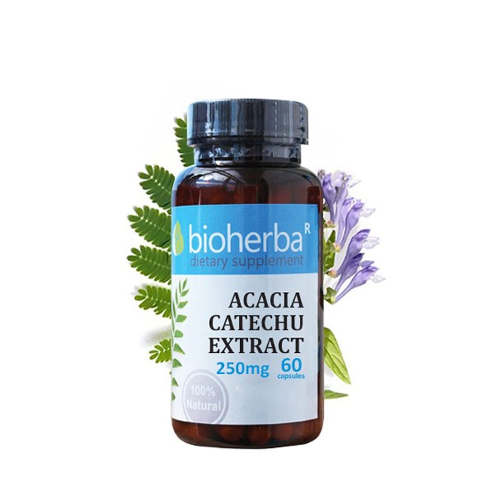 БИОХЕРБА ЕКСТРАКТ ОТ АКАЦИЯ КАТЕХУ капсули 250 мг. 60 броя / BIOHERBA ACACIA CATECHU EXTRACT