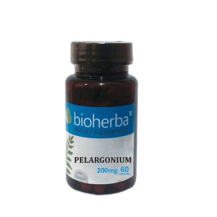 БИОХЕРБА ПЕЛАРГОНИУМ (АФРИКАНСКИ ЗДРАВЕЦ) капсули 200 мг. 60 броя / BIOHERBA PELARGONIUM