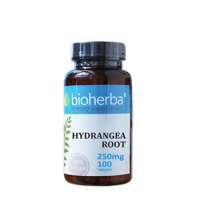БИОХЕРБА ХОРТЕНЗИЯ КОРЕН капсули 250 мг. 100 броя / BIOHERBA HYDRANGEA ROOT