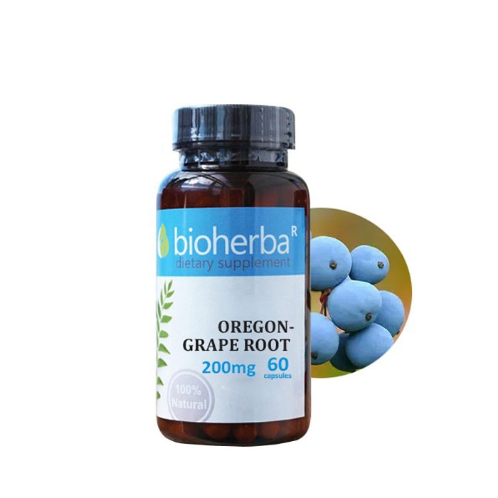 БИОХЕРБА ОРЕГОНСКО ГРОЗДЕ КОРЕН капсули 200 мг. 60 броя / BIOHERBA OREGON GRAPE ROOT
