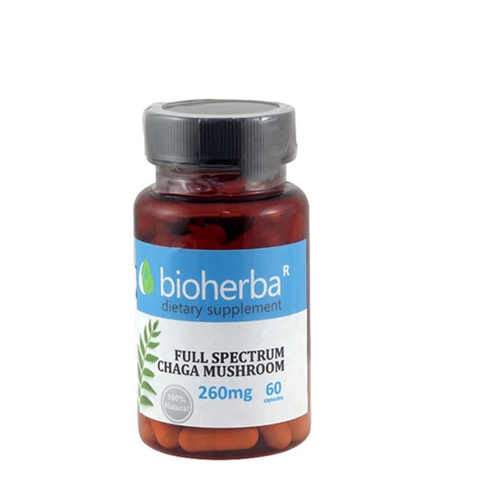 БИОХЕРБА ГЪБА ЧАГА капсули 260 мг. 60 броя / BIOHERBA FULL SPECTRUM CHAGA MUSHROOM