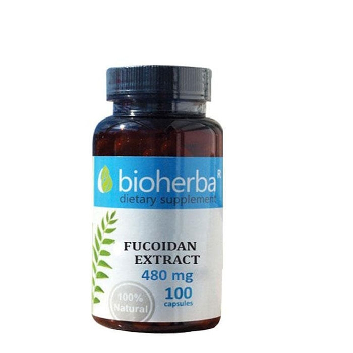 БИОХЕРБА ФУКОИДАН ЕКСТРАКТ капсули 480 мг. 100 броя / BIOHERBA FUCOIDAN EXTRACT