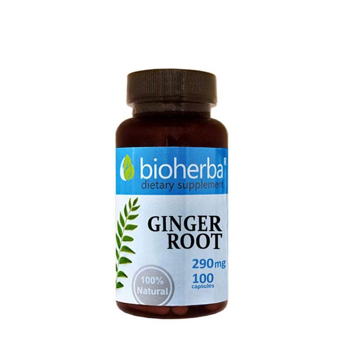 БИОХЕРБА ДЖИНДЖИФИЛ КОРЕН капсули 290 мг. 100 броя / BIOHERBA GINGER ROOT