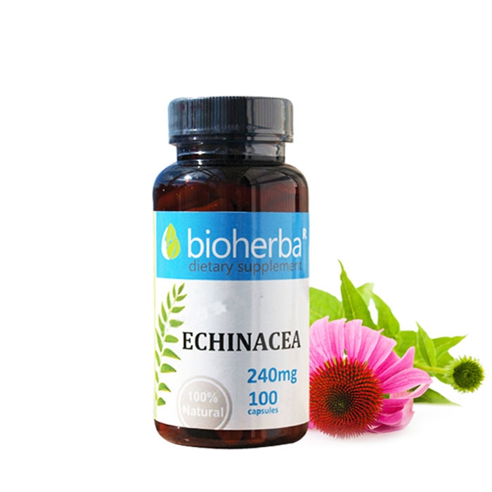 БИОХЕРБА ЕХИНАЦЕЯ капсули 240 мг. 100 броя / BIOHERBA ECHINACEA