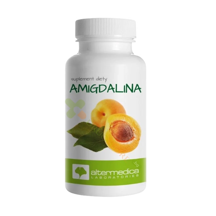 АЛТЕР МЕДИКА AMIGDALINA (ЕКСТРАКТ ОТ КАЙСИЕВИ ЯДКИ) капсули 60 броя / ALTER MEDICA AMIGDALINA