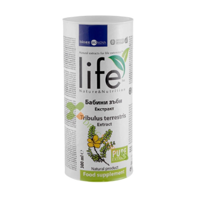 БАБИНИ ЗЪБИ ЕКСТРАКТ 300 мл / LIFE NATURE &amp; NUTRITION TRIBULUS TERRESTRIS extract