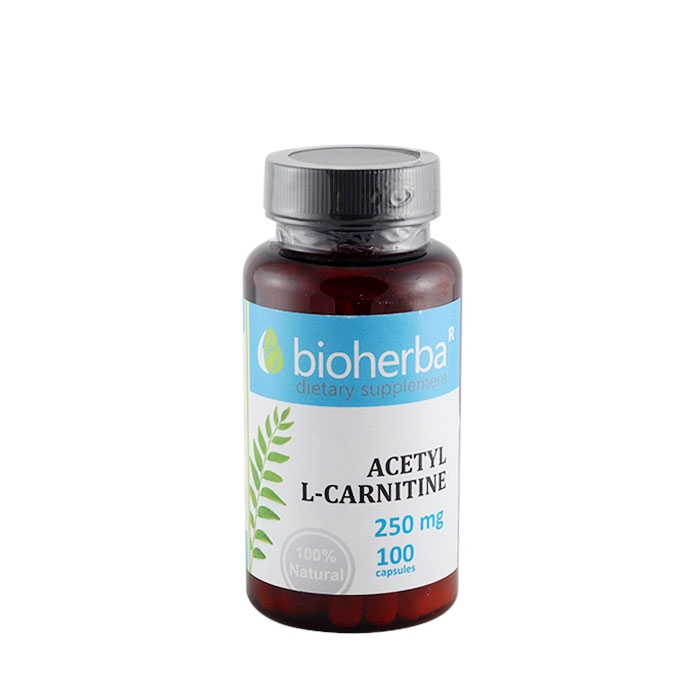БИОХЕРБА АЦЕТИЛ L-КАРНИТИН капсули 250 мг 100 броя / BIOHERBA ACETYL L-CARNITINE