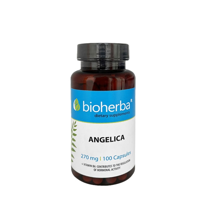 БИОХЕРБА АНГЕЛИКА КОРЕН + ВИТАМИН B6 капсули 100 броя / BIOHERBA ANGELICA ROOT + VITAMIN B6