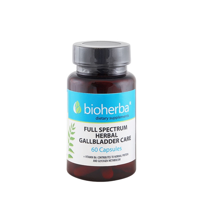 БИОХЕРБА БИЛКОВА ФОРМУЛА ЖЛЪЧКА + ВИТАМИН B6 капсули 60 броя / BIOHERBA FULL SPECTRUM HERBAL GALLBLADDER CARE + VITAMIN B6