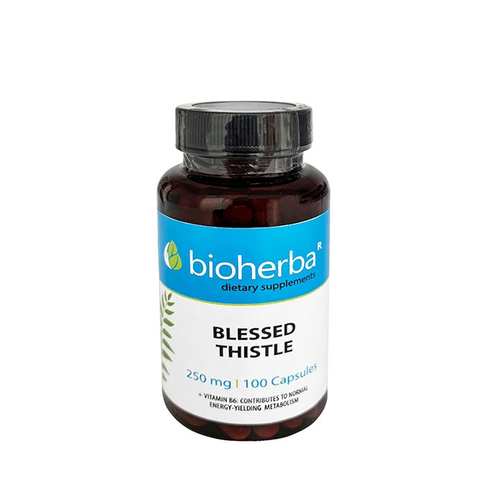 БИОХЕРБА БЛАГОСЛОВЕН ТРЪН (ПРЕСЕЧКА) + ВИТАМИН B6 капсули 100 броя / BIOHERBA BLESSED THISTLE + VITAMIN B6