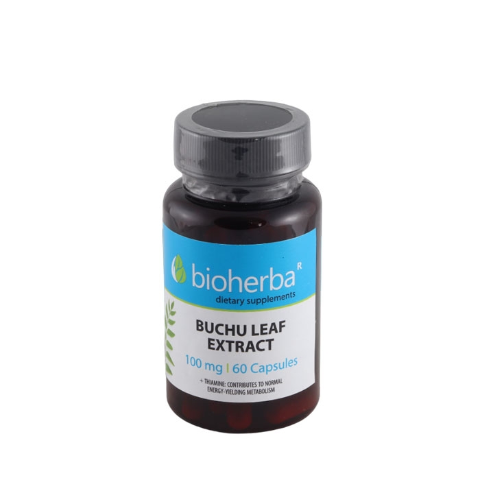 БИОХЕРБА БУЧУ ЛИСТ + ТИАМИН капсули 100 мг 60 броя / BIOHERBA BUCHU LEAF + THIAMINE