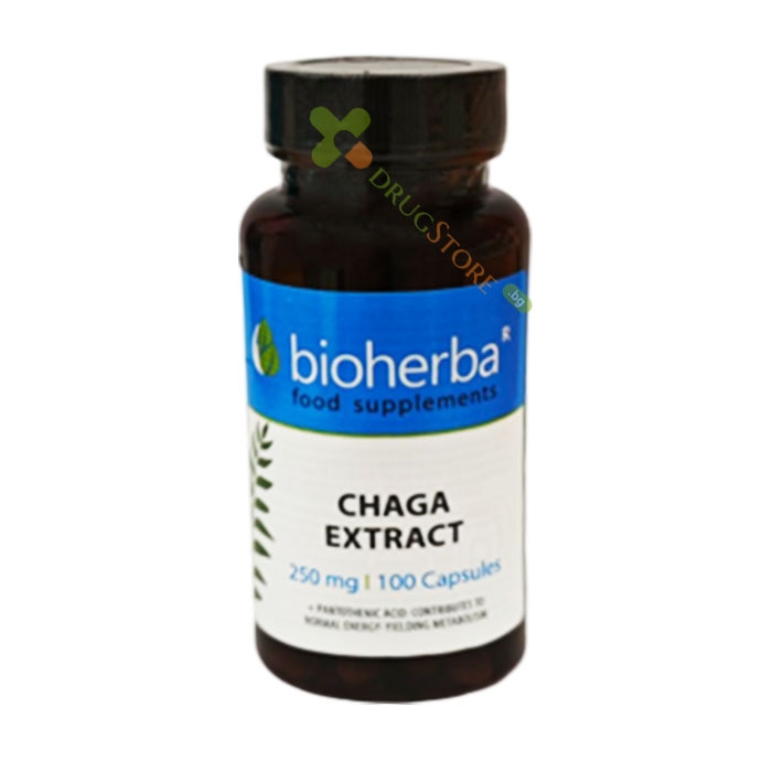 БИОХЕРБА ЧАГА ГЪБА ЕКСТРАКТ + ПАНТОТЕНОВА КИСЕЛИНА капсули 100 броя / BIOHERBA CHAGA EXTRACT + PANTHOTENIC ACID