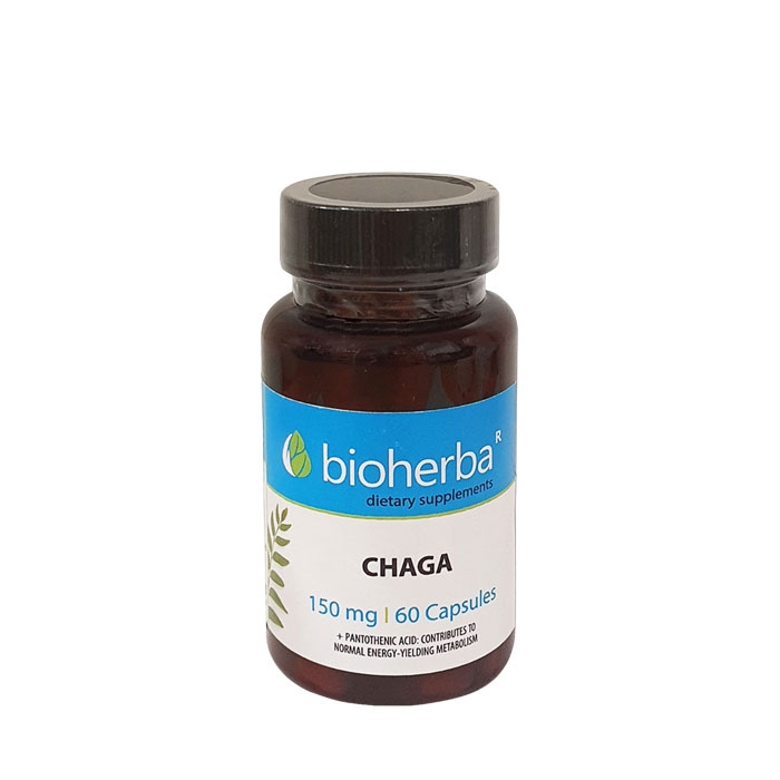 БИОХЕРБА ЧАГА ГЪБА + ПАНТОТЕНОВА КИСЕЛИНА капсули 60 броя / BIOHERBA CHAGA MUSHROOM + PANTOTHENIC ACID