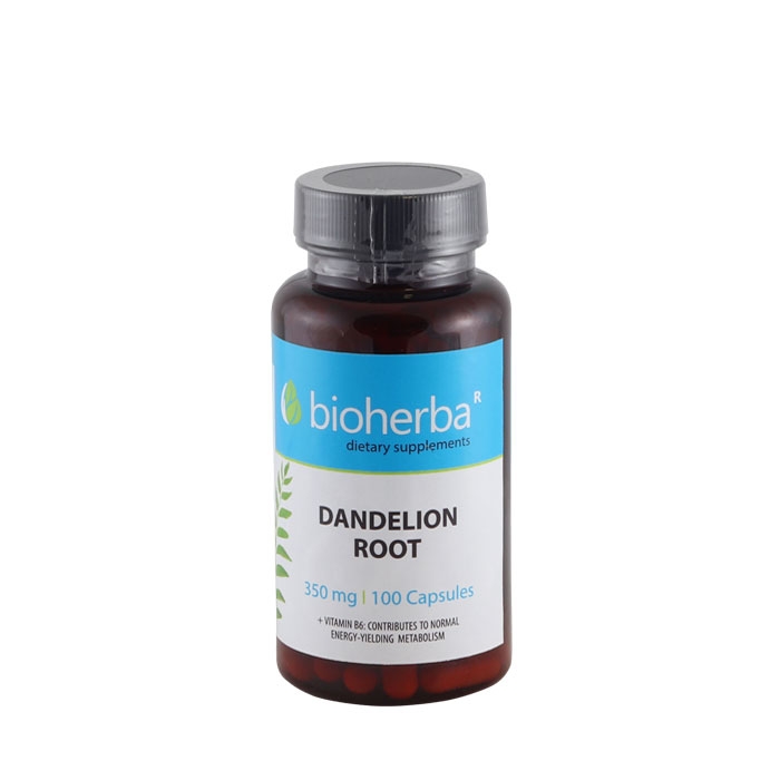 БИОХЕРБА ГЛУХАРЧЕ КОРЕН + ВИТАМИН B6 капсули 100 броя / BIOHERBA DANDELION ROOT + VITAMIN B6