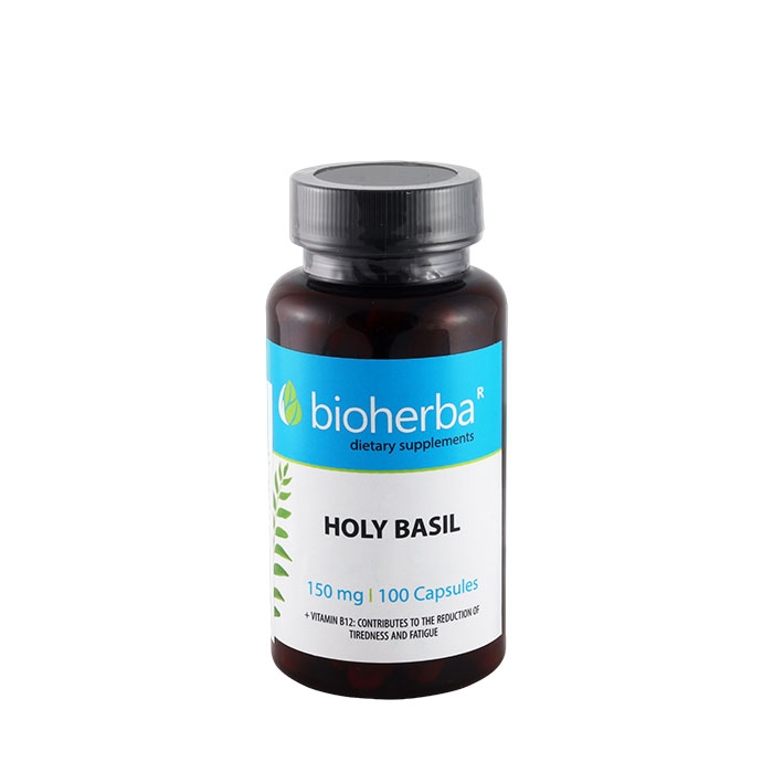 БИОХЕРБА СВЕЩЕН БОСИЛЕК + ВИТАМИН B12 капсули 100 броя / BIOHERBA HOLY BASIL + VITAMIN B12