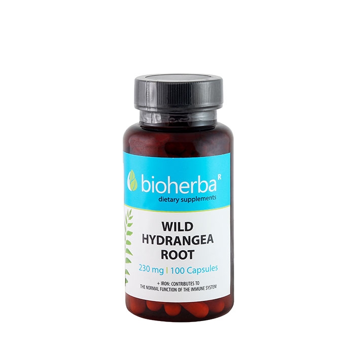 БИОХЕРБА ХОРТЕНЗИЯ КОРЕН + ЖЕЛЯЗО капсули 100 броя / BIOHERBA WILD HYDRANGEA ROOT + IRON