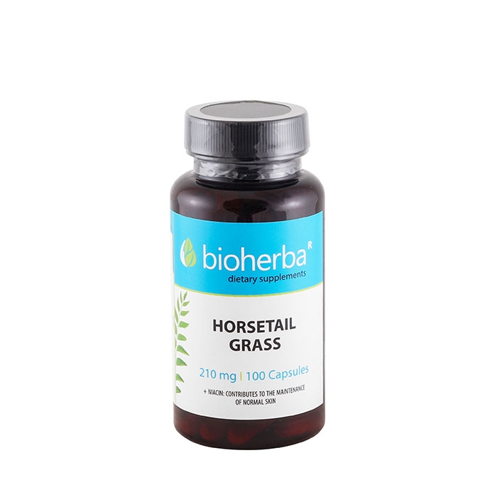 БИОХЕРБА ХВОЩ + НИАЦИН капсули 100 броя / BIOHERBA HORSETAIL GRASS + NIACIN