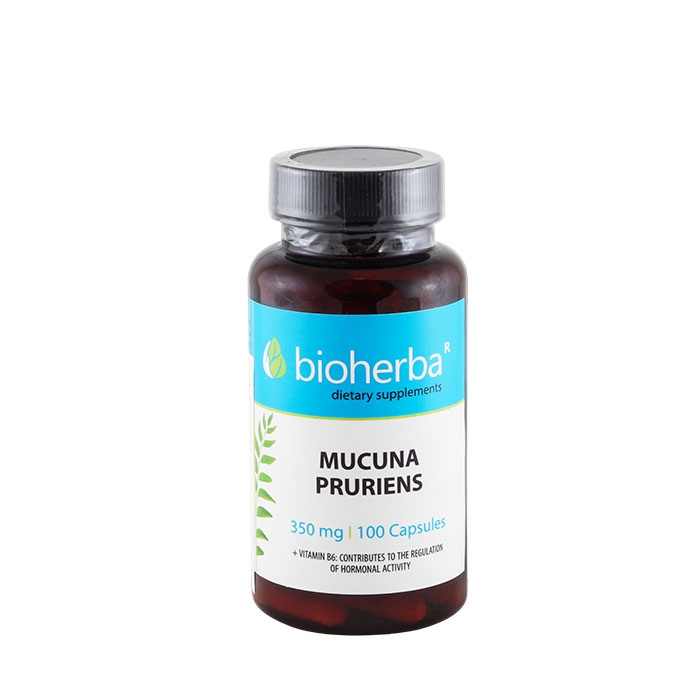 БИОХЕРБА КАДИФЕН БОБ + ВИТАМИН B6 капсули 100 броя / BIOHERBA MUCUNA PRURIENS + VITAMIN B6