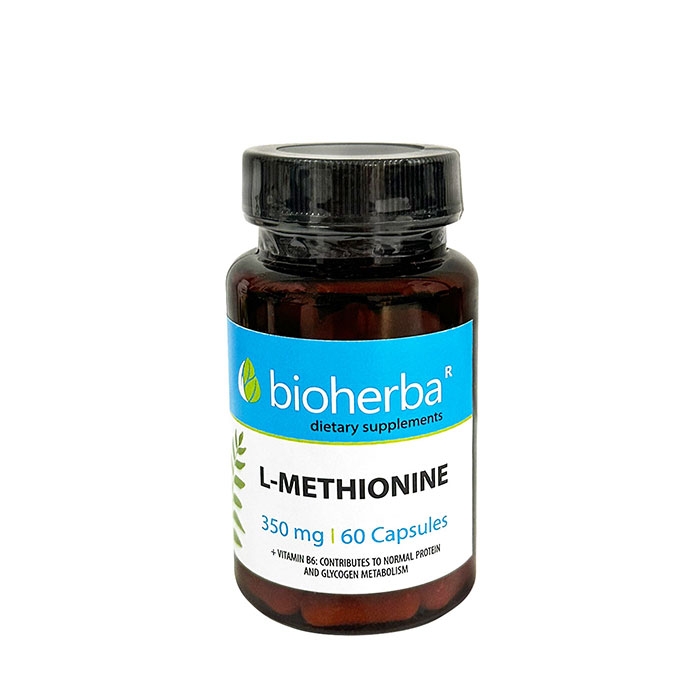 БИОХЕРБА L-МЕТИОНИН + ВИТАМИН B6 капсули 60 броя / BIOHERBA L-METHIONINE + VITAMIN B6
