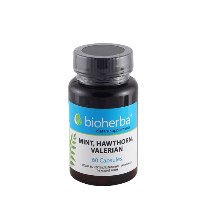БИОХЕРБА МЕНТА, ГЛОГ, ВАЛЕРИАНА + ВИТАМИН B12 капсули 60 броя / BIOHERBA MINT, HOWTHORN, VALERIAN + VITAMIN B12