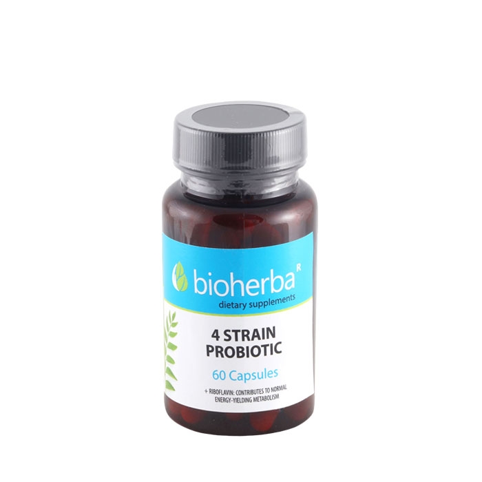 БИОХЕРБА ПРОБИОТИК 4 ЩАМА + РИБОФЛАВИН капсули 60 броя / BIOHERBA PROBIOTIC 4 STRAINS + RIBOFLAVIN