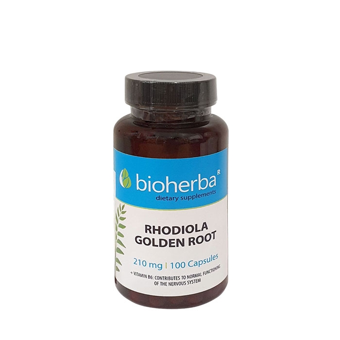 БИОХЕРБА ЗЛАТЕН КОРЕН + ВИТАМИН B6 капсули 100 / BIOHERBA RHODIOLA GOLDEN ROOT + VITAMIN B6