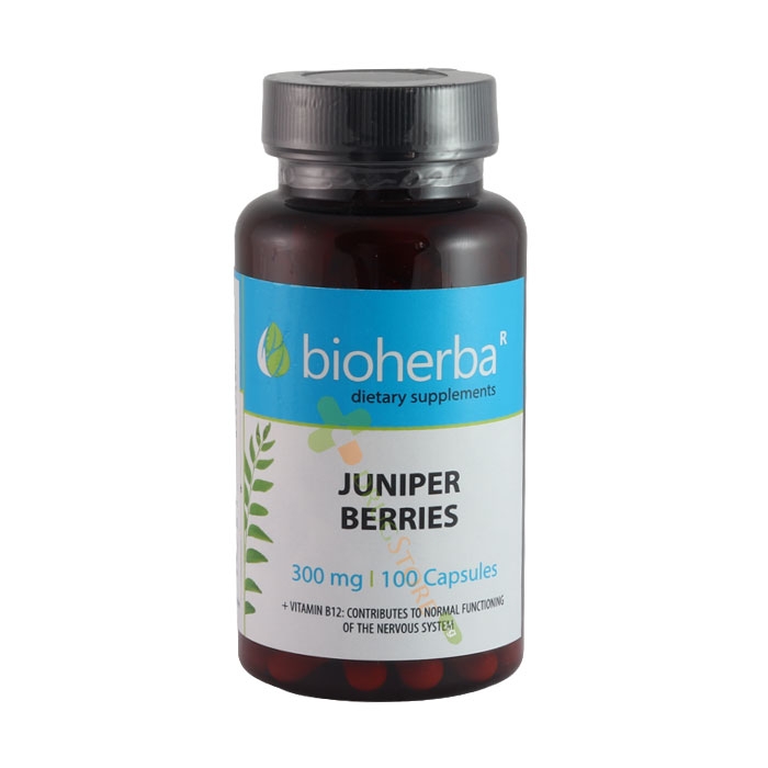 БИОХЕРБА СИНЯ ХВОЙНА + ВИТАМИН B12 капсули 100 броя / BIOHERBA JUNIPER BERRIES + VITAMIN B12