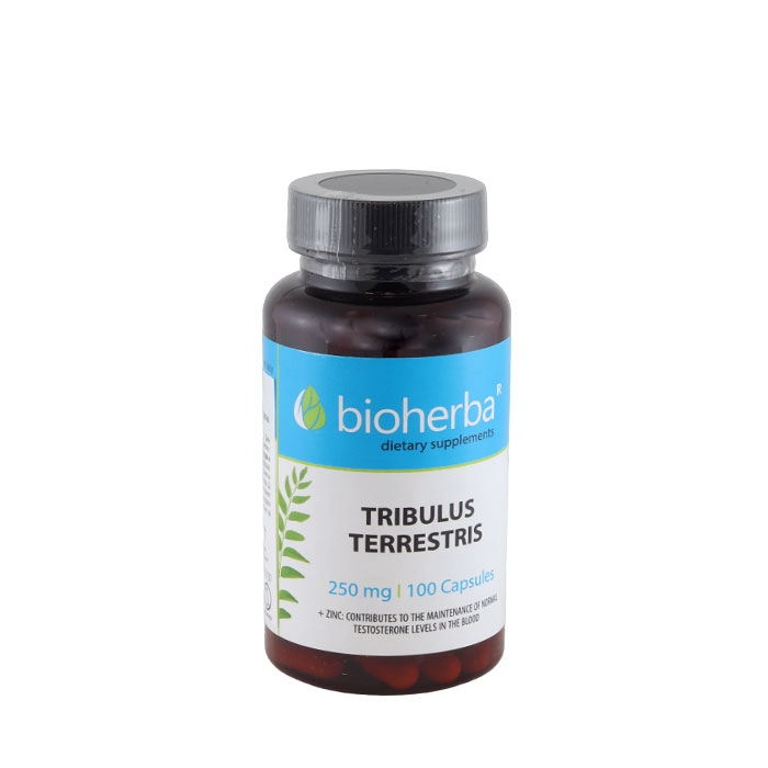 БИОХЕРБА ТРИБУЛУС ТЕРЕСТРИС И ЦИНК капсули 250 мг 100 броя / BIOHERBA