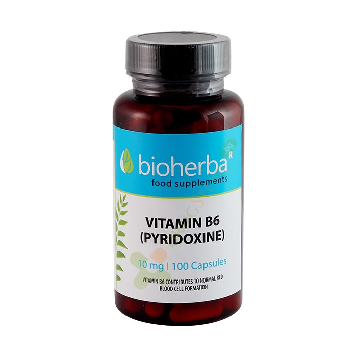 БИОХЕРБА ВИТАМИН B6 ПИРИДОКСИН капсули 10 мг 100 броя / BIOHERBA VITAMIN B6