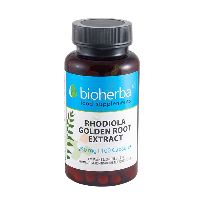 БИОХЕРБА ЗЛАТЕН КОРЕН 250 мг + ВИТАМИН B6 капсули 100 броя / BIOHERBA RHODIOLA GOLDEN ROOT 250 mg + VITAMIN B6