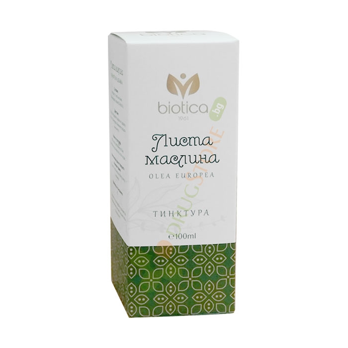 МАСЛИНА ЛИСТА тинктура 100 мл / BIOTICA OLIVE LEAF