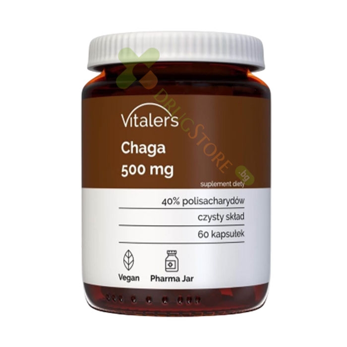 ЧАГА капсули 500 мг 60 броя / VITALER&#039;S CHAGA