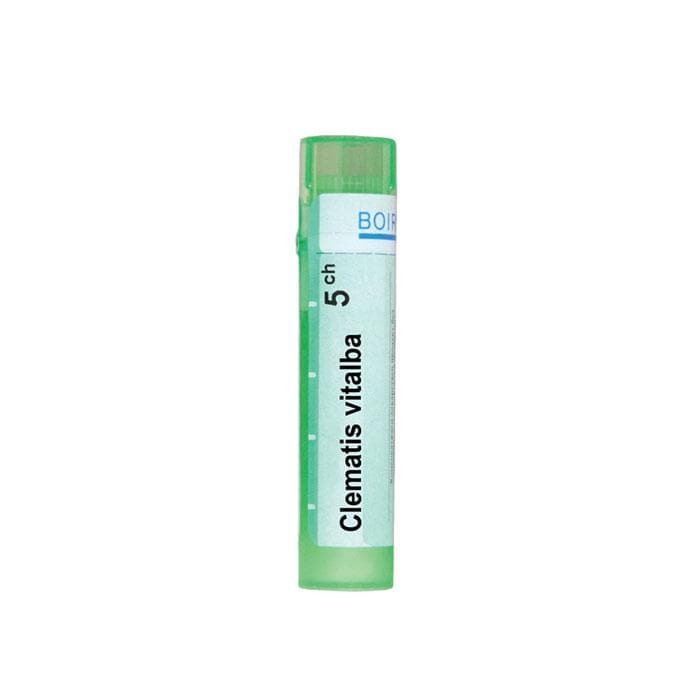 КЛЕМАТИС ВИТАЛБА 5 CH / CLEMATIS VITALBA 5 CH