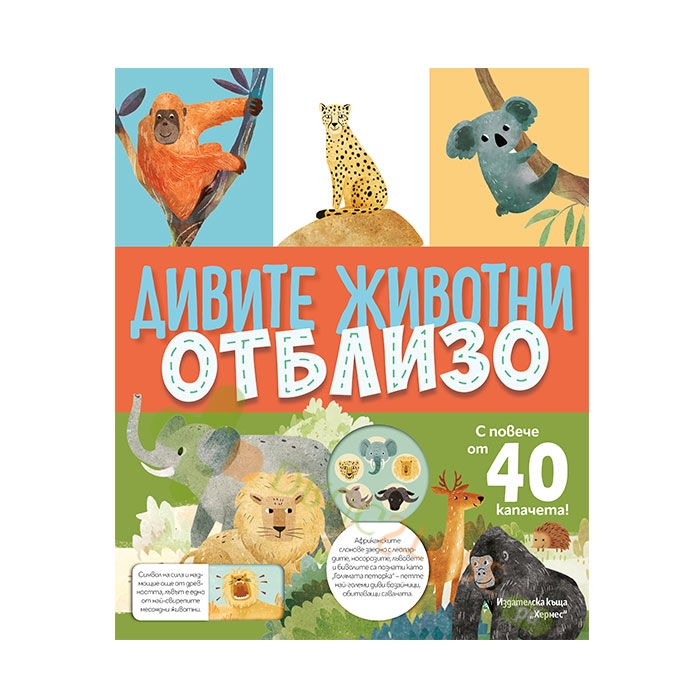 ДИВИТЕ ЖИВОТНИ ОТБЛИЗО - ХЕРМЕС