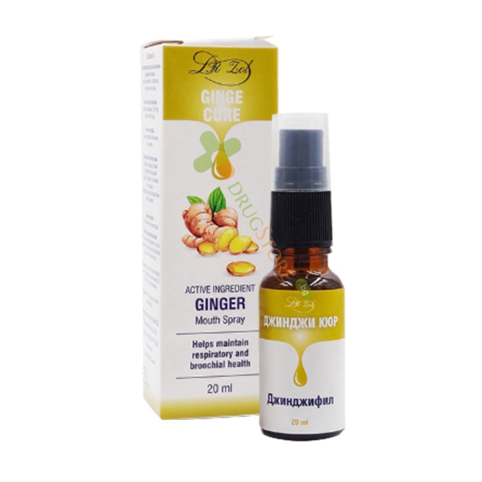 ДР. ЗОЛ ДЖИНДЖИКЮР СПРЕЙ 20 мл / DR. ZOL GINGECURE SPRAY