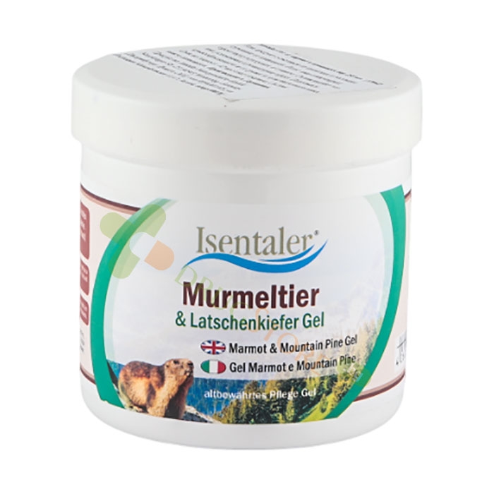АЙЗЕНТАЛЕР ГЕЛ С МАС ОТ МАРМОТ И ПЛАНИНСКИ БОР 250 мл / ISENTALER MARMOT OIL GEL