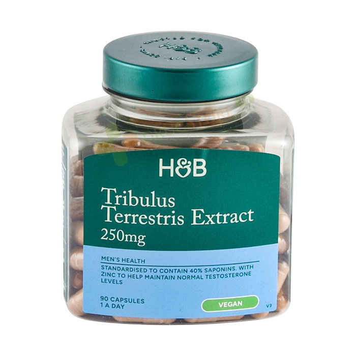 БАБИНИ ЗЪБИ (ТРИБУЛУС) ЕКСТРАКТ 250 мг С ЦИНК капсули 90 броя / HOLLAND BARRETT TRIBULUS TERRESTRIS EXTRACT