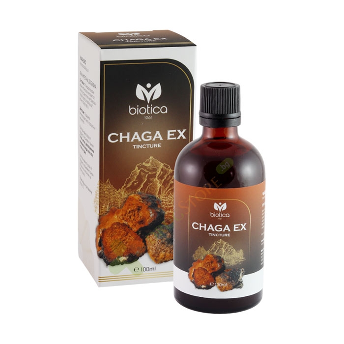 ЧАГА ЕКС тинктура 100 мл / BIOTICA CHAGA EX TINCTURE